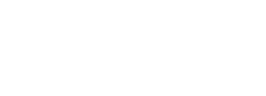 Blue Ridge Insurance Services - Logo 500 White